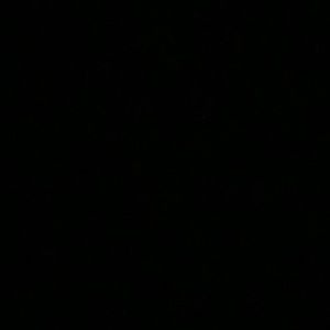 Meet your Posher, Carla